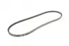 Ремень привода генератора Фредлайнер Cummins N14 13AV1145 (/23-10001-028) BOSCH 1 987 947 660 (фото 2)