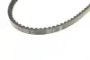 Ремень привода генератора Фредлайнер Cummins N14 13AV1145 (/23-10001-028) BOSCH 1 987 947 660 (фото 4)