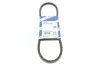 Ремінь генератора Audi 100/200/VW Caddy II/Golf III/IV/Passat/Sharan -04 (11.5x790) BOSCH 1 987 947 782 (фото 1)