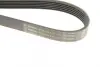 Ремінь генератора Renault Kangoo 1.9D 97-/Mazda 3/6/CX-5 2.2D 12-/Fiat Scudo 2.0 00-06 (6PK1190) BOSCH 1 987 947 818 (фото 5)