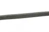 Ремінь генератора Citroen Berlingo 1.1-1.4 96-11/Peugeot Partner 1.1-1.4 96-15 (5PK725) BOSCH 1 987 947 831 (фото 4)