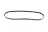 Ремінь генератора Renault Kangoo/Clio 1.2i 97-/Fiat Scudo 1.6i 96-06/Nissan Kubistar 1.2 03- (4PK905) BOSCH 1 987 947 899 (фото 5)