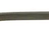 Ремінь генератора Fiat Ducato 1.9D/TD/Peugeot 106 1.5D 94-04/Mitsubishi Lancer 1.3 98-04 (5PK962) BOSCH 1 987 947 918 (фото 2)