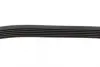 Ремінь генератора VW Caddy/Golf/Skoda Octavia 1.6/2.0 04-15/Fiat Ducato 2.5TDI 94-02/Scudo 1.6 96-06 BOSCH 1 987 947 936 (фото 4)