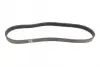 Ремінь генератора VW Caddy/Golf/Skoda Octavia 1.6/2.0 04-15/Fiat Ducato 2.5TDI 94-02/Scudo 1.6 96-06 BOSCH 1 987 947 936 (фото 5)