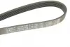 Ремінь генератора VW LT 2.8TDI 01-06/Volvo 850/S70/S80/V70 2.5TDI 95-06/Opel Astra 1.6 12- (6PK1685) BOSCH 1 987 947 986 (фото 5)