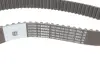 Комплект ГРМ VW Caddy III 1.9TDI/2.0SDI 04-10/VW T5 1.9TDI 03-09 (120x30) BOSCH 1 987 948 253 (фото 3)