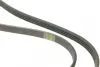 Ремінь генератора Suzuki Grand Vitara 2.5 V6 24V/2.7 01-03/Vitara 2.0 V6 24V 94-98 (4PK1090) BOSCH 1 987 948 312 (фото 4)