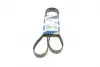 Ремінь генератора Fiat Doblo1.3-1.6 D 10-/Opel Astra F/Corsa B/Vectra B 1.4-1.8/ 94-03 (6PK1530) BOSCH 1 987 948 315 (фото 1)