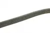 Ремінь генератора Fiat Doblo1.3-1.6 D 10-/Opel Astra F/Corsa B/Vectra B 1.4-1.8/ 94-03 (6PK1530) BOSCH 1 987 948 315 (фото 3)