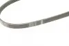 Ремінь генератора Suzuki Baleno 95-02/ Toyota Auris/Verso 1.3-1.6 i 10- (4PK900) BOSCH 1 987 948 349 (фото 4)
