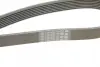 Ремінь генератора Iveco Daily III/IV/VI 2.3 JTD 02- (7PK1325) BOSCH 1 987 948 397 (фото 4)