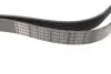 Ремінь генератора Ford Transit 2.4 DI-2.4TDCI 00-06 (7PK2875) BOSCH 1 987 948 401 (фото 2)