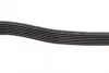 Ремінь генератора Ford Transit 2.4 DI-2.4TDCI 00-06 (7PK2875) BOSCH 1 987 948 401 (фото 4)