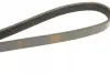 Ремінь генератора Opel Movano/Renault Master 2.5D/2.8DTI 98-01/Megane/Laguna 1.4-1.6 03-08 (5PK1195) BOSCH 1 987 948 413 (фото 4)