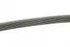 Ремінь генератора Opel Astra J/Corsa D 1.7CDTI 09-15/Ford Focus 1.8TDCi 98-04 (6PK1715) BOSCH 1 987 948 453 (фото 2)