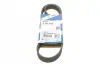 Ремінь генератора поліклиновий Peugeot Partner/307/508 02-/Citroen Berlingo/C2/C3/C4/C5 1.6 HDi 04- (6PK976) BOSCH 1 987 948 486 (фото 1)