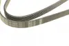 Ремінь генератора VW Passat B5/Audi A4/A6 1.9TDI 98-05/Skoda Superb 1.9/2.0TDI 01-08 (5PK1432) BOSCH 1 987 948 491 (фото 3)