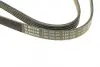 Ремінь генератора VW Passat B5/Audi A4/A6 1.9TDI 98-05/Skoda Superb 1.9/2.0TDI 01-08 (5PK1432) BOSCH 1 987 948 491 (фото 4)