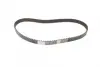 Ремкомплект ГРМ + помпа CITROEN/FIAT/FORD/PEUGEOT/VOLVO C4,5,8/Jumpy/Focus/Mondeo&quot;2,0D &quot;03&gt;&gt; =&quot;&quot; BOSCH 1987948727 (фото 4)