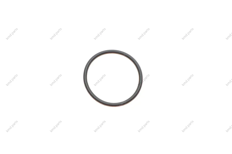 Уплотнительное кольцо BOSCH 2440210026 (фото 1)