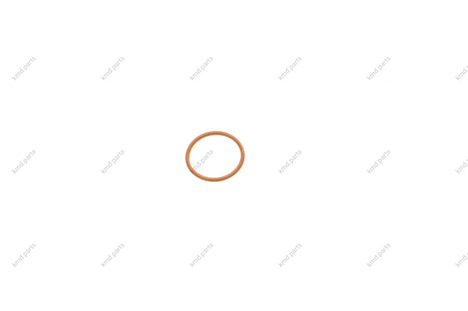 Уплотнительное кольцо BOSCH F00VP01005 (фото 1)