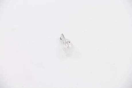 Автолампа T15 12V 21W Bosma 0119