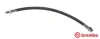 Гальмівний шланг BREMBO T50045 (фото 1)