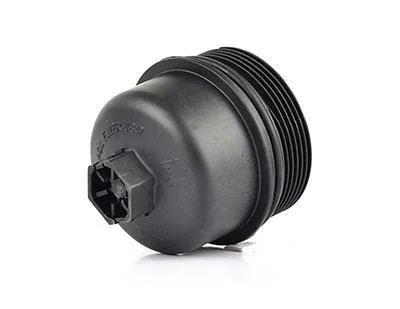 Кришка масляного фільтра Transit V347 2.4TDI 06- BSG BSG 30-141-002