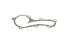 Помпа води Nissan Almera 1.5/1.6/1.8 00-/Primera 1.6/1.8 99-08 (R/B) (6 лоп) BUGATTI PA10055 (фото 2)