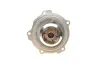 Помпа води Audi A4/A6/Skoda Felicia/VW Golf/Caddy/Passat/Polo 1.9D/TDI/SDI 95- (R/B)(6лоп) BUGATTI PA5108 (фото 2)