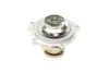 Помпа води Audi A4/A6/Skoda Felicia/VW Golf/Caddy/Passat/Polo 1.9D/TDI/SDI 95- (R/B)(6лоп) BUGATTI PA5108 (фото 3)