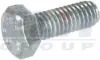 Гвинт шестигранний CARGO 190477 (фото 1)
