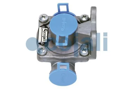 Випускний клапан (M22x1, 5мм, M22x1, 5мм, 12Бар)) RVI KERAX, PREMIUM 04.96- COJ COJALI 2221205