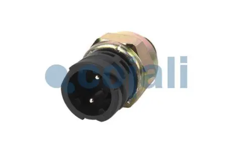 Датчик (M18x1,5мм 2 контакти) MAN CLA 10.145 LC,10.145 LLC, LRC, LLRC (LE140C)/10.145 LK, L-KI, LRK, LR-KI, LRK-L, LK-L (LE140C)/10.145 LLS, LLRS (LE140C)/10.150 HOCL/10.153 F/10.153 LC,10.153 LLC/10. COJ COJALI 2260336