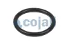 Ремкомплект пневматичного клапана 6012170COJ COJALI 6012170 (фото 3)