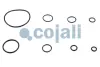 Ремкомплект циліндра зчеплення 6032126COJ COJALI 6032126 (фото 3)
