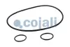 Ремкомплект циліндра зчеплення 6034028COJ COJALI 6034028 (фото 3)