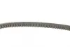 Ремінь генератора VW Caddy/Golf/Passat 1.6-2.0 91-99/Seat Ibiza/Toledo 1.6/2.0 93-02 CONTINENTAL Contitech 11,5X685Ld (фото 2)
