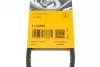 Ремінь генератора VW Caddy/Golf/Passat 1.6-2.0 91-99/Seat Ibiza/Toledo 1.6/2.0 93-02 CONTINENTAL Contitech 11,5X685Ld (фото 6)