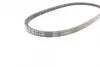 Ремінь генератора VW Caddy/Golf/Passat/Polo 1.4-2.0 91-02/Seat Alhambra/Ibiza 91-10 (755x11.5) CONTINENTAL Contitech 11,5X755Ld (фото 3)