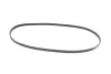 Ремінь генератора Renault Clio 1.2/1.4 90-98/Nissan Micra/Note 1.0-1.4 03-12 CONTINENTAL Contitech 4PK1075 (фото 4)