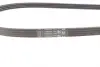 Ремінь генератора Citroen Jumper/Fiat Ducato/Peugeot Boxer 3.0HDi/D 06- CONTINENTAL Contitech 4PK1102 ELAST (фото 3)