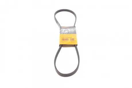 Ремінь генератора Citroen Jumper/Fiat Ducato/Peugeot Boxer 3.0HDi/D 06- CONTINENTAL Contitech 4PK1102 ELAST