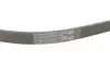 Ремінь генератора Mitsubishi Pajero 2.5 TD 90-/ L 200 2.5 96-07 CONTINENTAL Contitech 4PK1125 (фото 3)