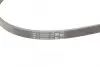 Ремінь генератора Audi A4/A6 2.5TDI 00-05/ Peugeot 205/305/309 1.9-2.5 TD 90-94 CONTINENTAL Contitech 4PK1217 (фото 3)