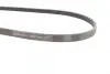 Ремінь генератора Ford Kuga II/Focus III 2.0-2.5 12- CONTINENTAL Contitech 4PK1360 (фото 2)