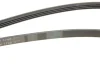 Пас поліклиновий CONTINENTAL Contitech 4PK1708 (фото 3)