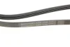 Пас поліклиновий CONTINENTAL Contitech 4PK1708 (фото 4)
