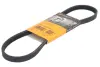 Ремінь генератора BMW 1 (E87)/3 (E90) 04-11 CONTINENTAL Contitech 4PK830 ELAST (фото 1)